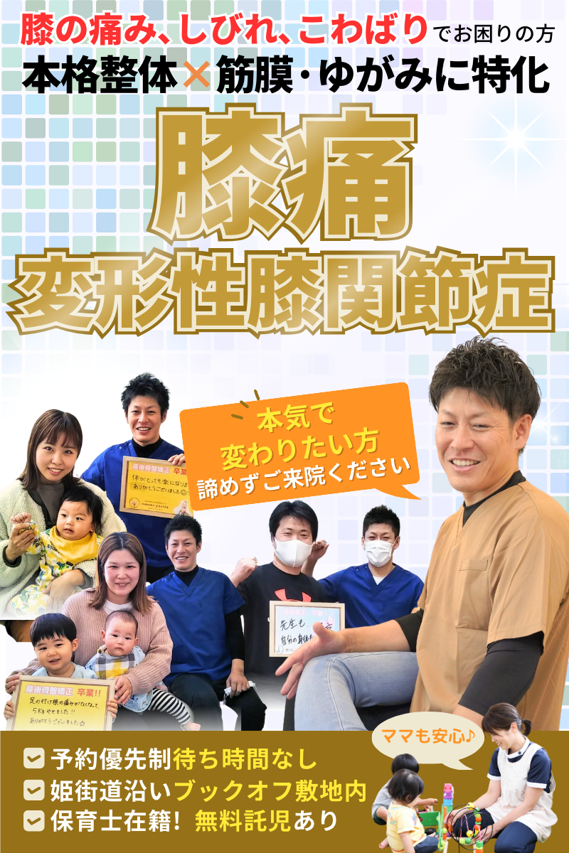 パーフェクト整体 セミナーDVD 膝痛・下肢編 ～全身の関節を緩め、体幹 